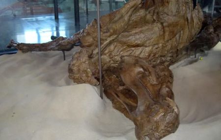 Копита у рептилій: учені помітили щось незвичайне у “мумії” динозавра