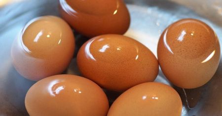 Запам’ятайте раз і назавжди: чому яйця після варіння не можна класти в холодну воду