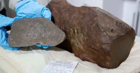 Чоловік знайшов метеорит, старший за Землю: який вигляд має космічний артефакт