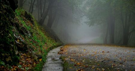 Дощі та мокрий сніг: прогноз погоди на сьогодні, 2 жовтня