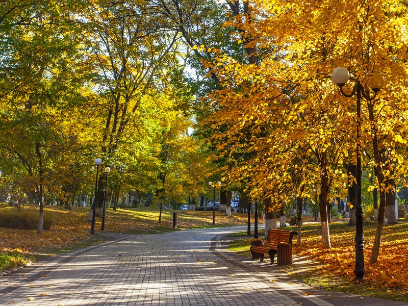 Яка погода очікує українців вихідними: прогноз синоптикині