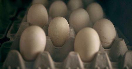Як правильно зберігати яйця: небезпечна помилка може обернутися отруєнням