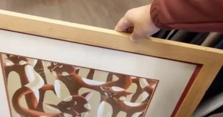 Чоловік купив у секонд-хенді картину з котом — і не повірив, скільки вона насправді коштує