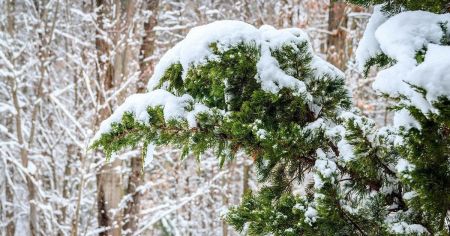 Прогноз погоди на 13 жовтня: синоптики сказали, де вдарить мороз і буде мокрий сніг