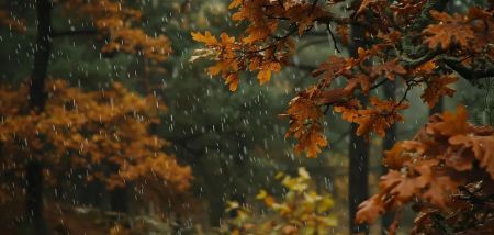 Синоптики розповіли, де у неділю пройдуть дощі з мокрим снігом