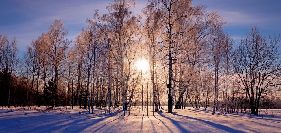 Коли найдовша ніч у році: дата зимового сонцестояння