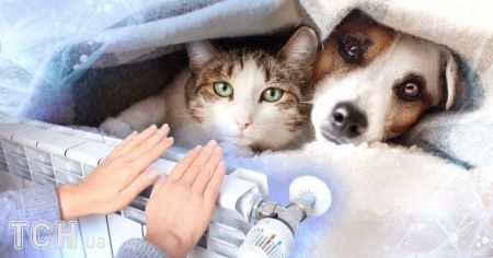 В “Укренерго” розповіли, коли увімкнуть опалення по всій Україні