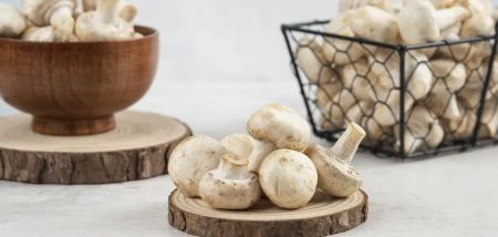 Гриби як природний антистрес: що варто знати про цей суперпродукт