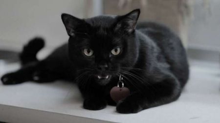 Іспанія запровадила незвичне правило на період Гелловіну