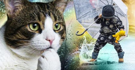 Києву приготуватись: чому столиця може “потонути” у зливах, як Одеса