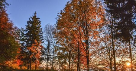 До України повернеться тепло: коли і де вдарить +20