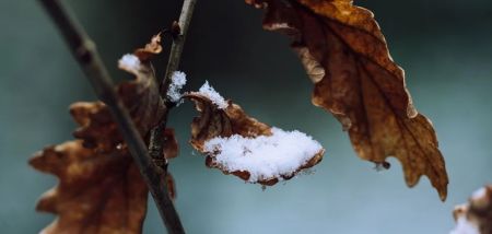 Не тільки дощ та вітер: синоптики розповіли, де очікуються снігопади 19 жовтня
