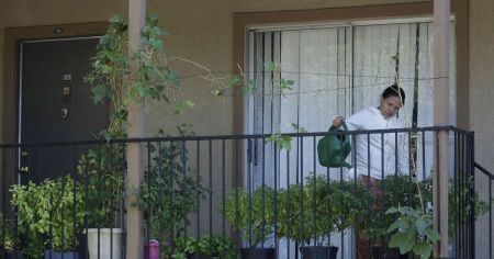 10 фруктових дерев, які чудово ростуть у горщиках і дають урожай навіть на балконі