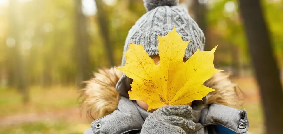 Осінні канікули 2025: коли почнуться в Україні та скільки триватимуть