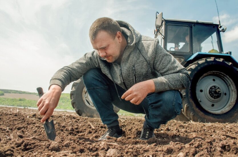 Розрив у 10 разів: скільки коштує земля у різних областях України