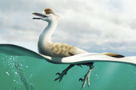 Повна щелепа зубів: у Монголії знайшли скелет динозавра із тілом пінгвіна. Фото