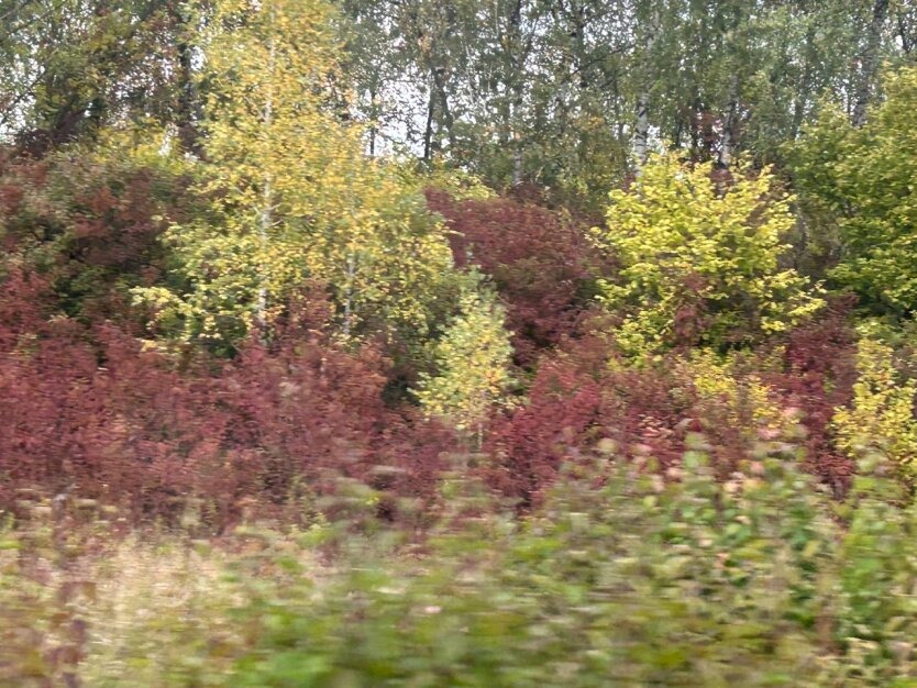 Осінні холоди вже тут: Діденко розповіла, як впаде температура в Україні