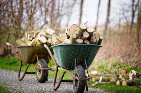 Ціни на дрова б’ють рекорди: чому варто купувати зараз, поки не пізно, бо залишитесь без опалення