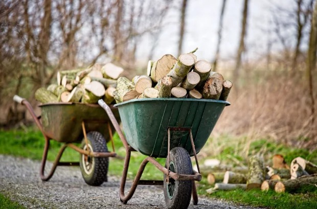 Ціни на дрова б’ють рекорди: чому варто купувати зараз, поки не пізно, бо залишитесь без опалення