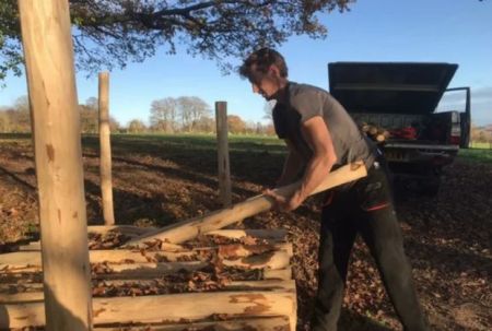 Селянам дозволили різати дерева для опалення, але є умова: коли доведеться заплатити