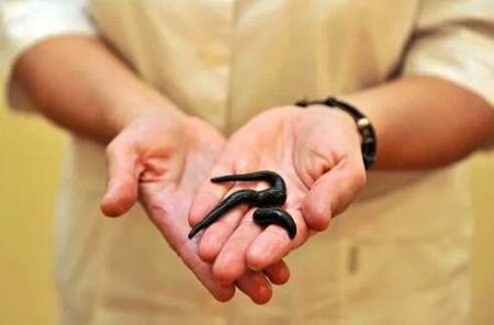 У ванній повній п’явок знайшли чоловіка без крові