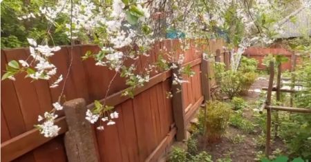 Українців штрафуватимуть за паркан: як не втратити майже 2 тисячі гривень