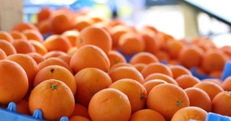 Чому апельсини продають у червоних сітках — не впіймайтеся на цю хитрість