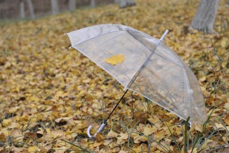 Циклон Niksala мчить до України: синоптикиня повідомила, що станеться з погодою