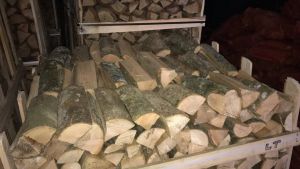 Скільки коштують дрова у приватних компаній — ціни в листопаді