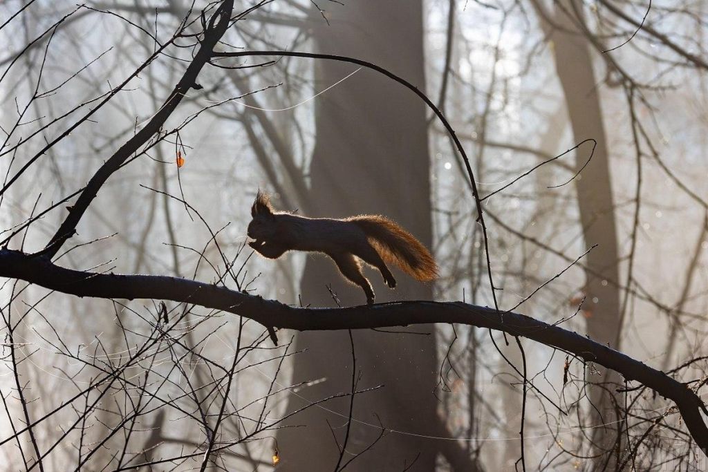 Аномально теплий грудень: синоптик розповів, коли чекати на сніг