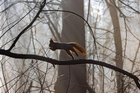 Аномально теплий грудень: синоптик розповів, коли чекати на сніг
