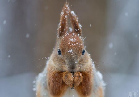 Погода у грудні: синоптик розповів, коли в Україну прийде сніг з морозами