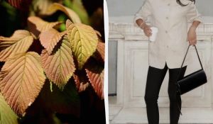 Легінси з 80-х отримали друге дихання: як їх стилізувати