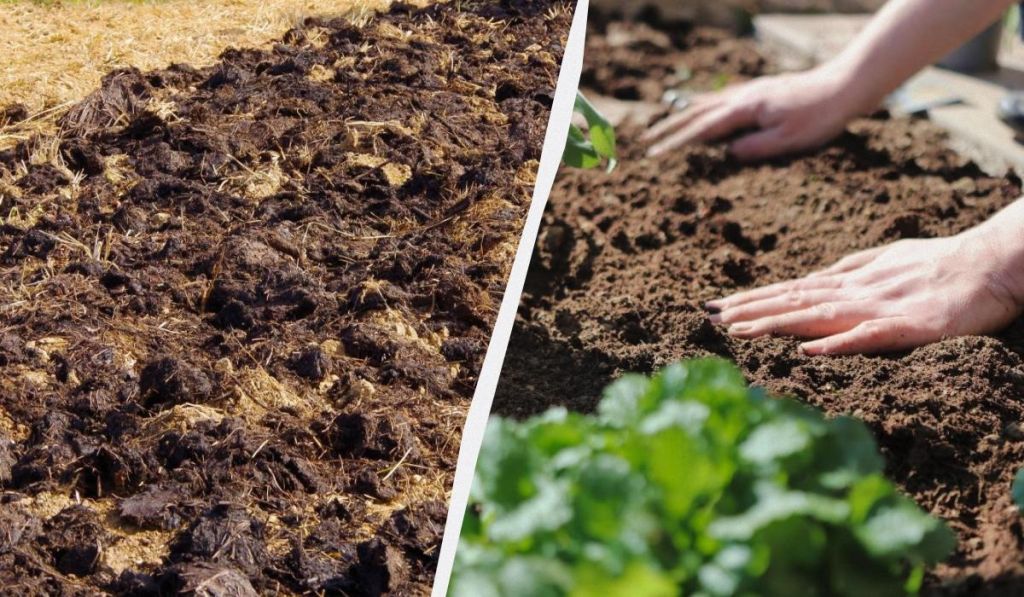 Що потрібно закопати в город перед зимою: лайфхак, який знають тільки досвідчені городники
