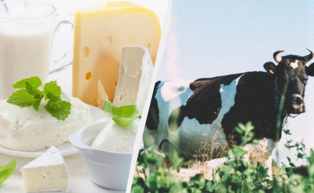Молочний апокаліпсис: кліматичні зміни загрожують деяким видам популярних сирів
