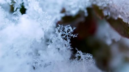 Синоптикиня відповіла, чи можливі морози до 31 градуса в Україні у листопаді