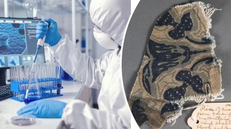 Генетичний портрет диктатора: вчені дослідили ДНК Гітлера та знайшли в ньому сліди хвороби