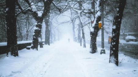 Якою буде зима в Україні: синоптик відповів, чи очікувати аномальних температур