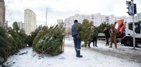 У Києві з 3 грудня почнуть працювати ялинкові базари: відомо адреси