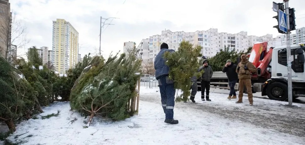 У Києві з 3 грудня почнуть працювати ялинкові базари: відомо адреси