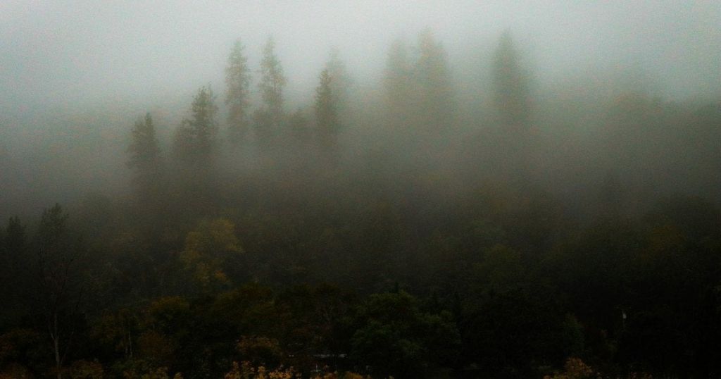 Українців попередили про негоду: що слід врахувати