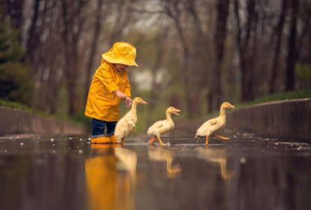 Дощі, тумани та магнітні бурі: Діденко дала прогноз до кінця тижня