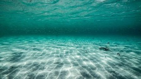 Вчені воскресили стародавній організм, який пролежав на морському дні 7000 років