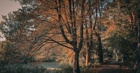 Синоптики оновили прогноз на четвер: до чого готуватися українцям