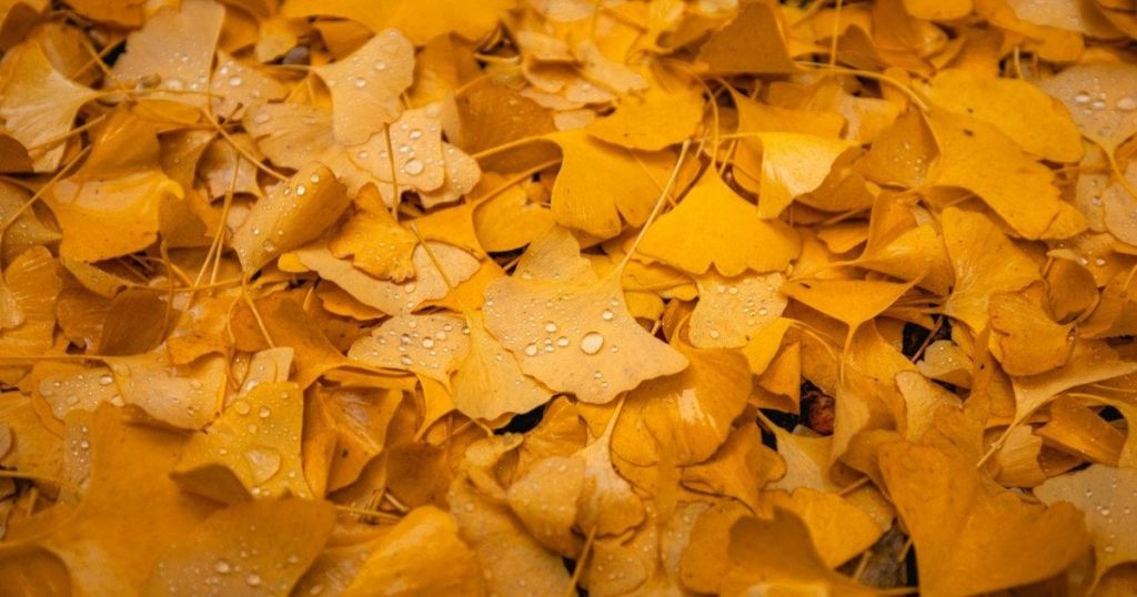 До України йде похолодання та дощі: синоптикиня розповіла, коли зміниться погода