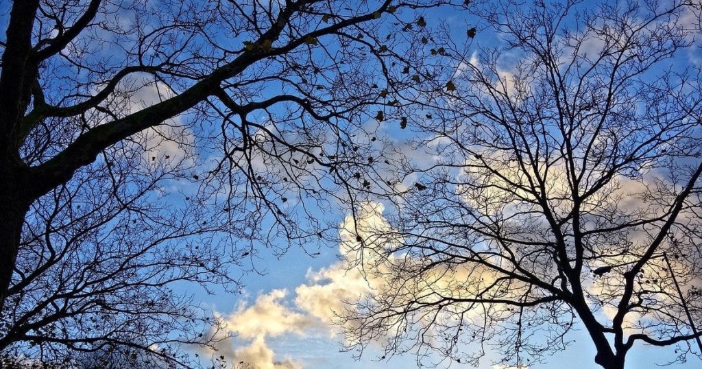 Погода зіпсується і стане холодніше: прогноз на 9 листопада