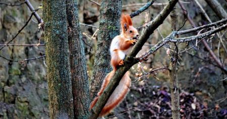 Якою буде погода вихідними в Україні: антициклон принесе тепло, але на півдні дощитиме