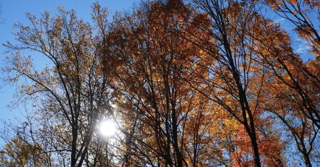 Аномальне тепло у листопаді: несподіваний прогноз синоптикині