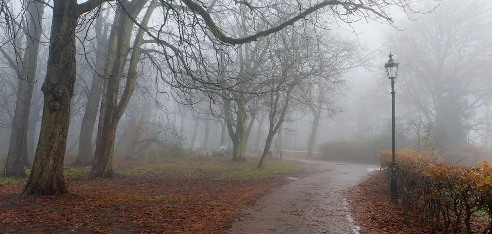 В Україну увірветься похолодання, можливий сніг: синоптикиня назвала дати