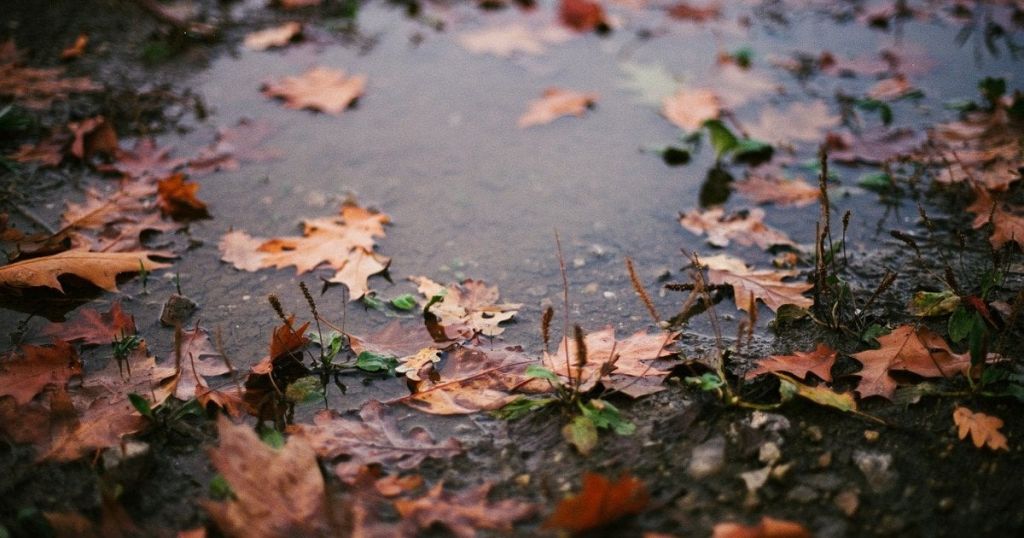 Синоптики оновили прогноз погоди на останній день осені